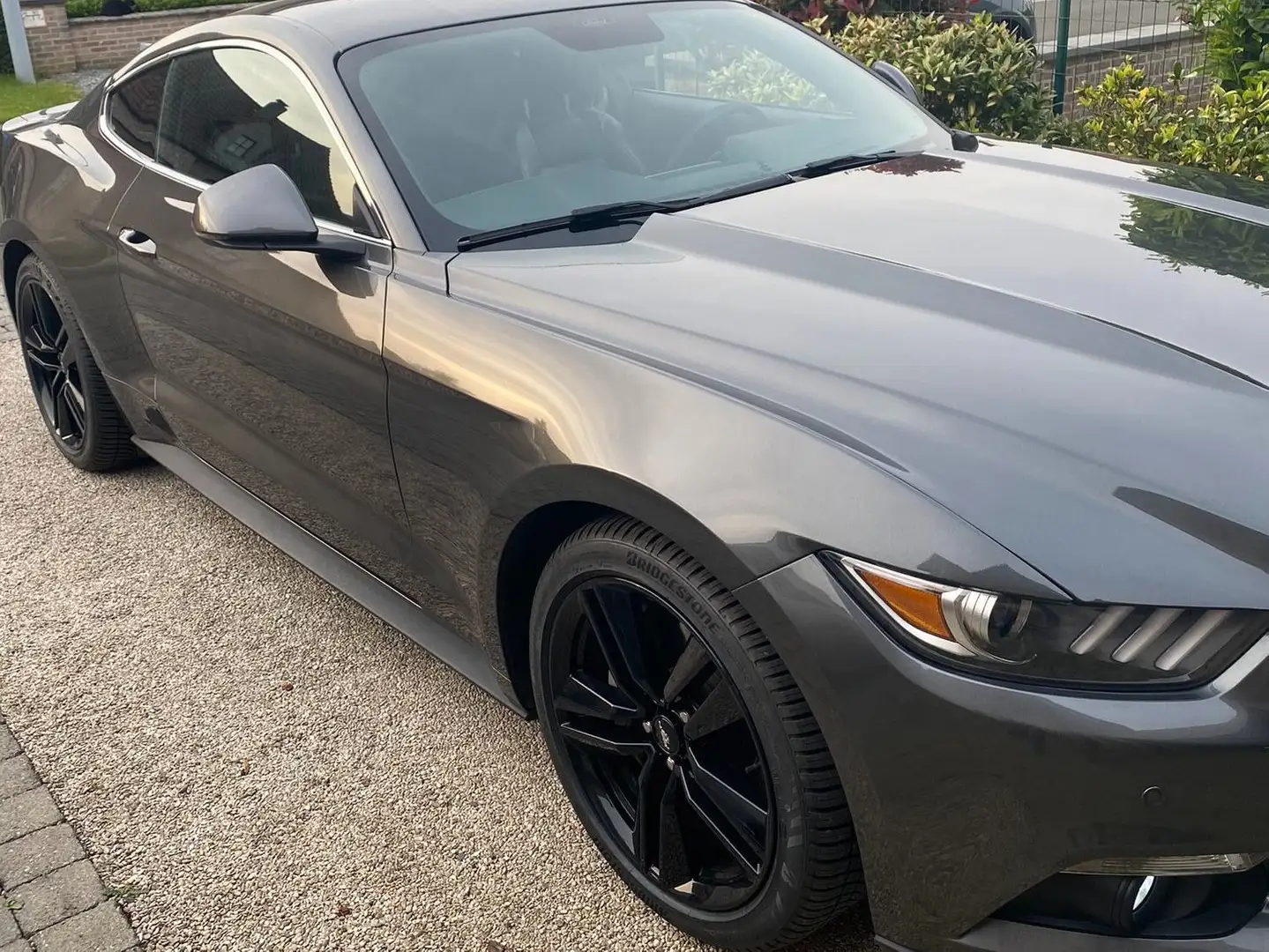 Ford Mustang Mustang 2.3 Eco Boost Gris - 2