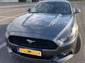 Ford Mustang Mustang 2.3 Eco Boost Gris - thumbnail 3