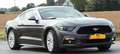 Ford Mustang Mustang 2.3 Eco Boost Gris - thumbnail 1