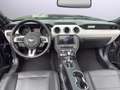 Ford Mustang Convertible 2.3 EcoBoost !! US Modell !! SELTEN !! Negro - thumbnail 10
