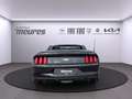 Ford Mustang Convertible 2.3 EcoBoost !! US Modell !! SELTEN !! Negro - thumbnail 3