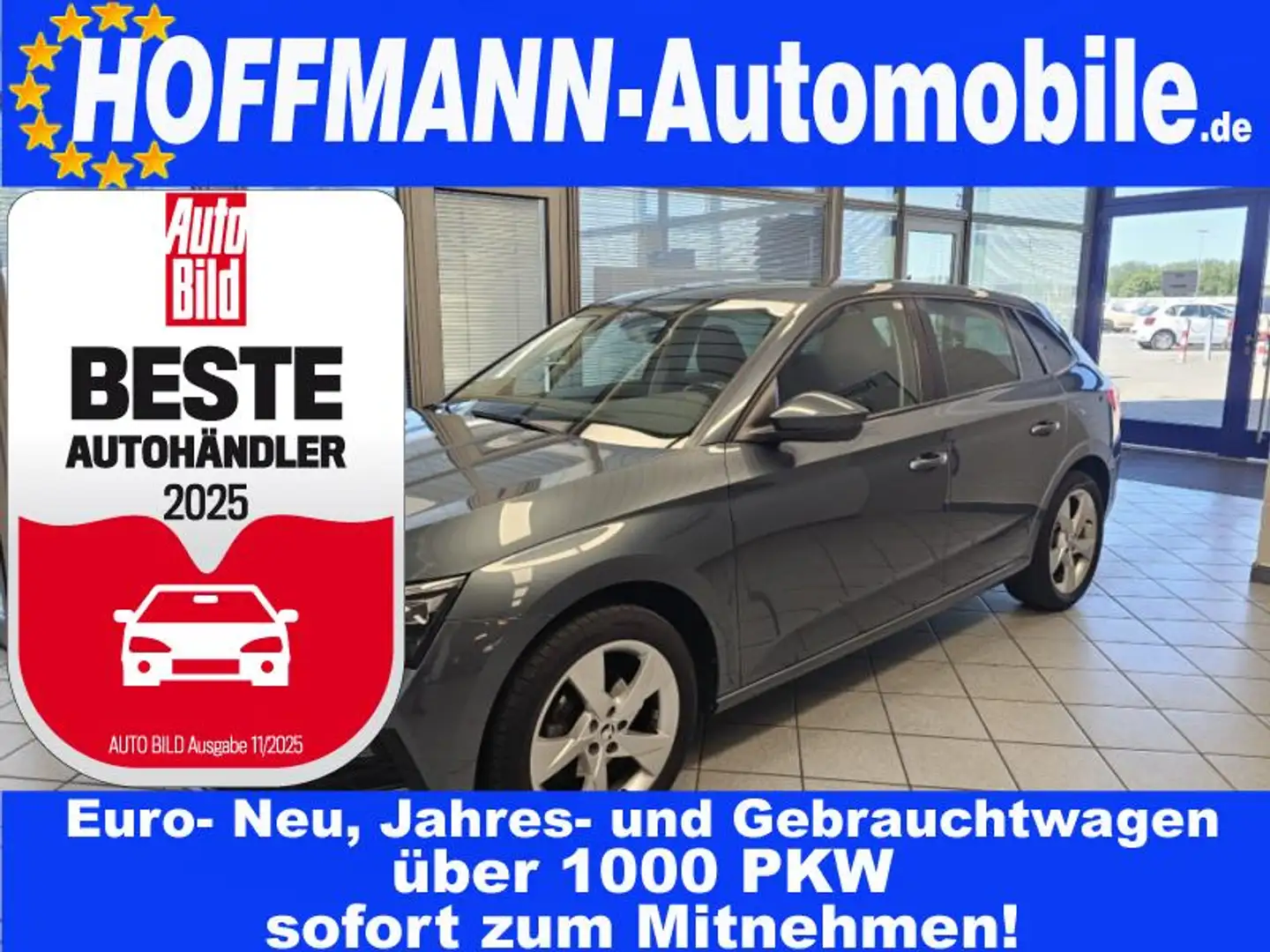 Skoda Scala Style App-Connect,PDC,Kamera,Sitzheizung Grau - 1