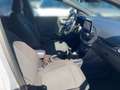 Ford Puma ST-Line 5-türig 1,0 EBoost 125PS MHEV M6 F Grau - thumbnail 12