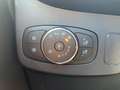 Ford Puma ST-Line 5-türig 1,0 EBoost 125PS MHEV M6 F Grau - thumbnail 19