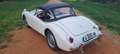 MG MGA MGA CABRIOLET Wit - thumbnail 8