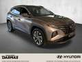 Hyundai TUCSON Tucson 1.6 CRDi DCT Trend 4WD Navi PanoD TOP Beige - thumbnail 4