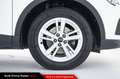 Audi Q3 35 TDI quattro S tronic Business - Pacchetto Evol Bianco - thumbnail 11