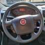 Fiat Ducato 35 LH1 2.3 M-JET CASSONE DOPPIA CABINA 7 PTI-2021 Bianco - thumbnail 11