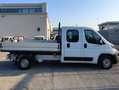 Fiat Ducato 35 LH1 2.3 M-JET CASSONE DOPPIA CABINA 7 PTI-2021 Bianco - thumbnail 2