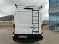 Ford Transit Transit Kasten 2,0 EcoBlue L3H2 330 Trend Weiß - thumbnail 4