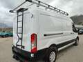 Ford Transit Transit Kasten 2,0 EcoBlue L3H2 330 Trend Weiß - thumbnail 6