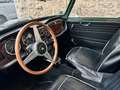 Triumph TR4 IRS - thumbnail 10