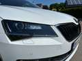 Skoda Superb Superb Combi 1.5 TSI DSGAmbition Weiß - thumbnail 12