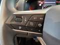 SEAT Arona 1.0 TSI S&S Style Special Edition 115 Gris - thumbnail 14
