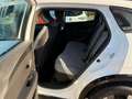 Renault Megane E-Tech Electric Equilibre | Klima Blanc - thumbnail 14