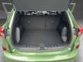Ford Kuga ST-Line Grün - thumbnail 9