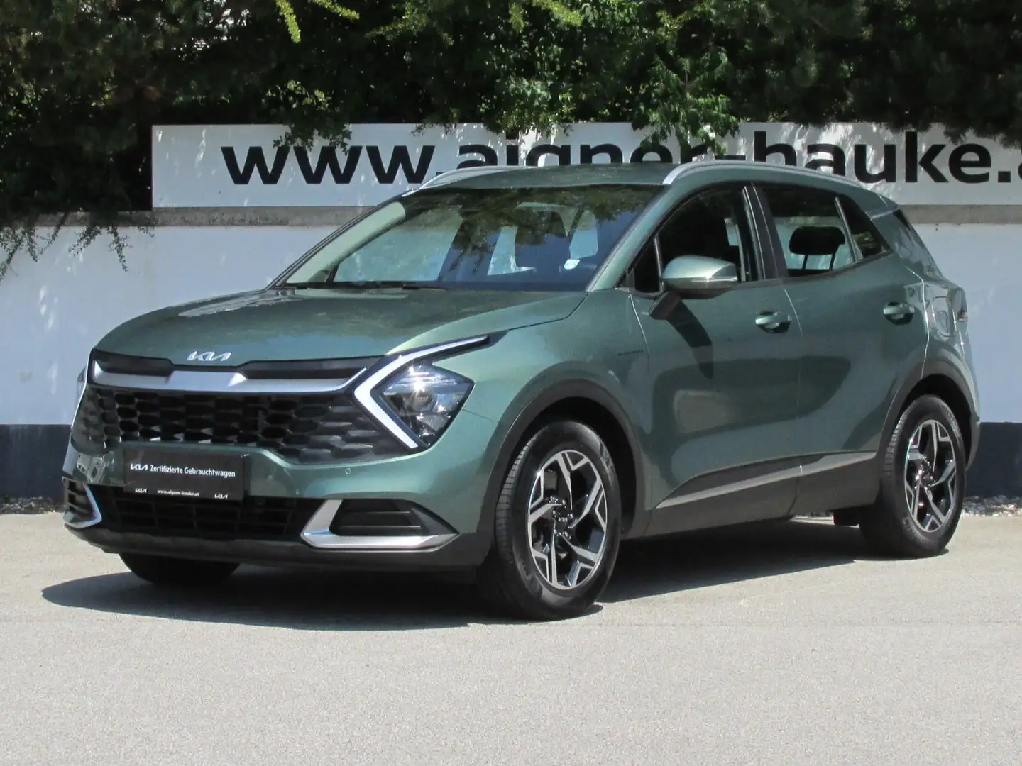 Kia Sportage 1,6 CRDI 48V Silber Grün - 1
