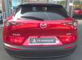 Mazda CX-30 CX-30 1.8 Exclusive 2wd 116cv 6mt Rosso - thumbnail 6