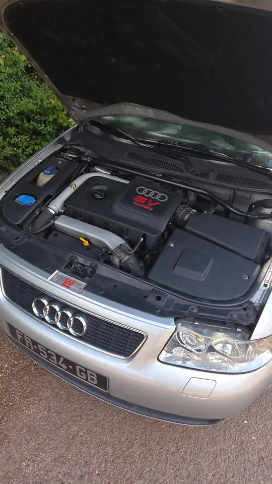 Audi S3 8L, foto 2