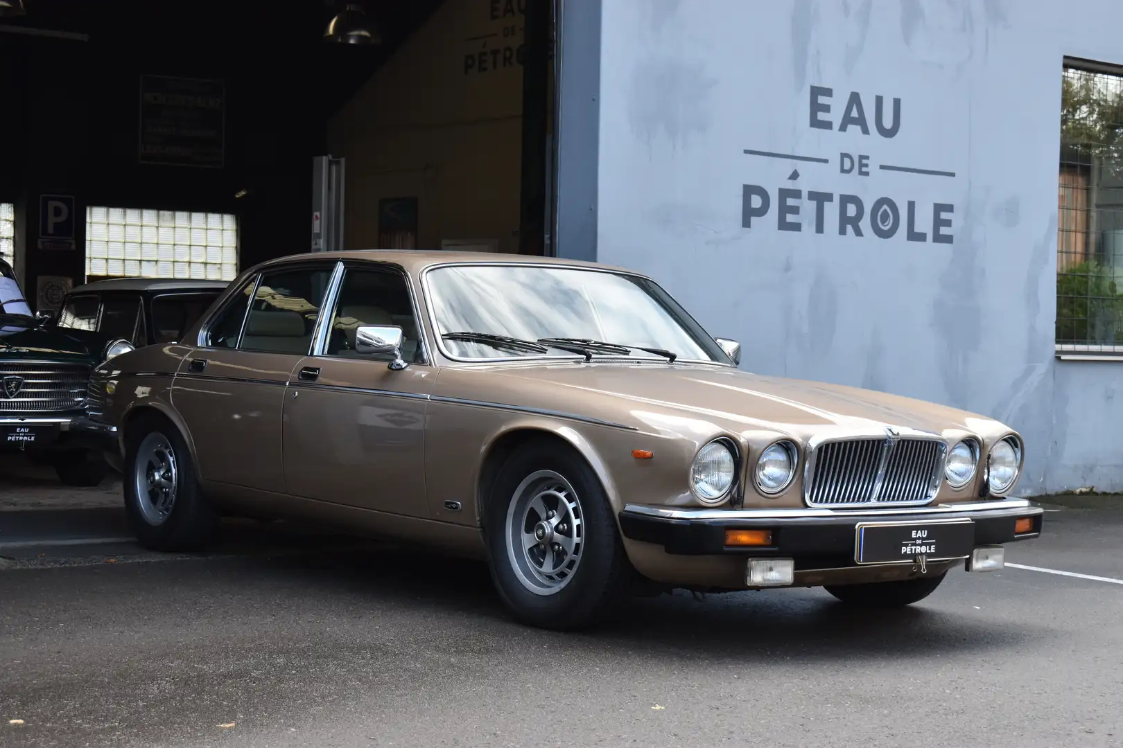 Jaguar XJ12 Vanden Plas Oro - 2
