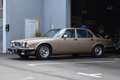 Jaguar XJ12 Vanden Plas Oro - thumbnail 5