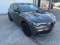 Alfa Romeo Stelvio Quadrifoglio 2,9 V6 Bi-Turbo*Akrapovic* Grau - thumbnail 3