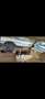 Mercedes-Benz S 300 W126 300sd turbodiesel Blau - thumbnail 7