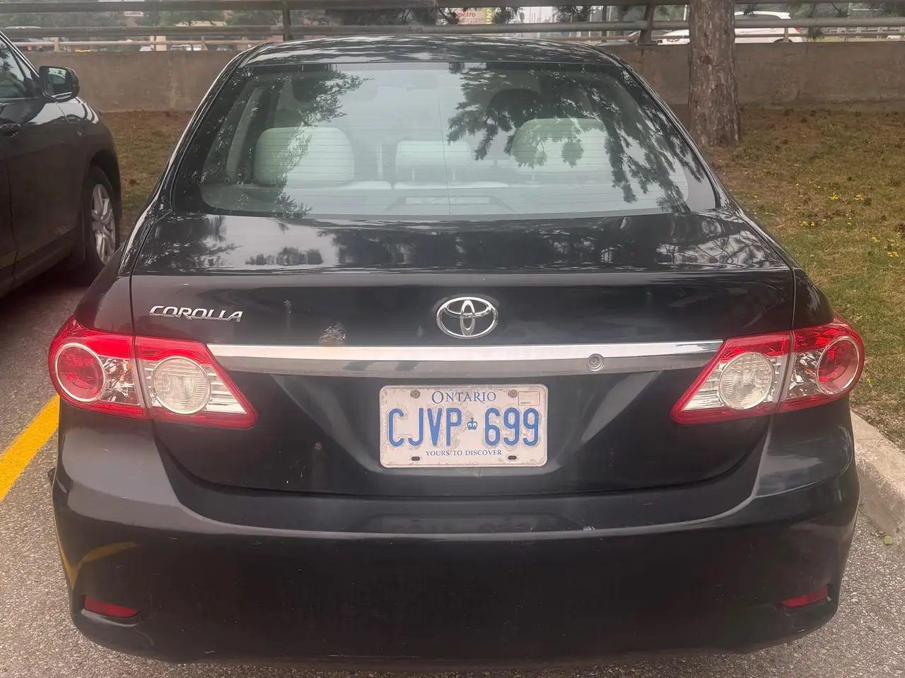 Toyota Corolla photo Toyota Corolla