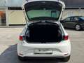 SEAT Leon Executive 1,2 TSI Start-Stopp Weiß - thumbnail 12