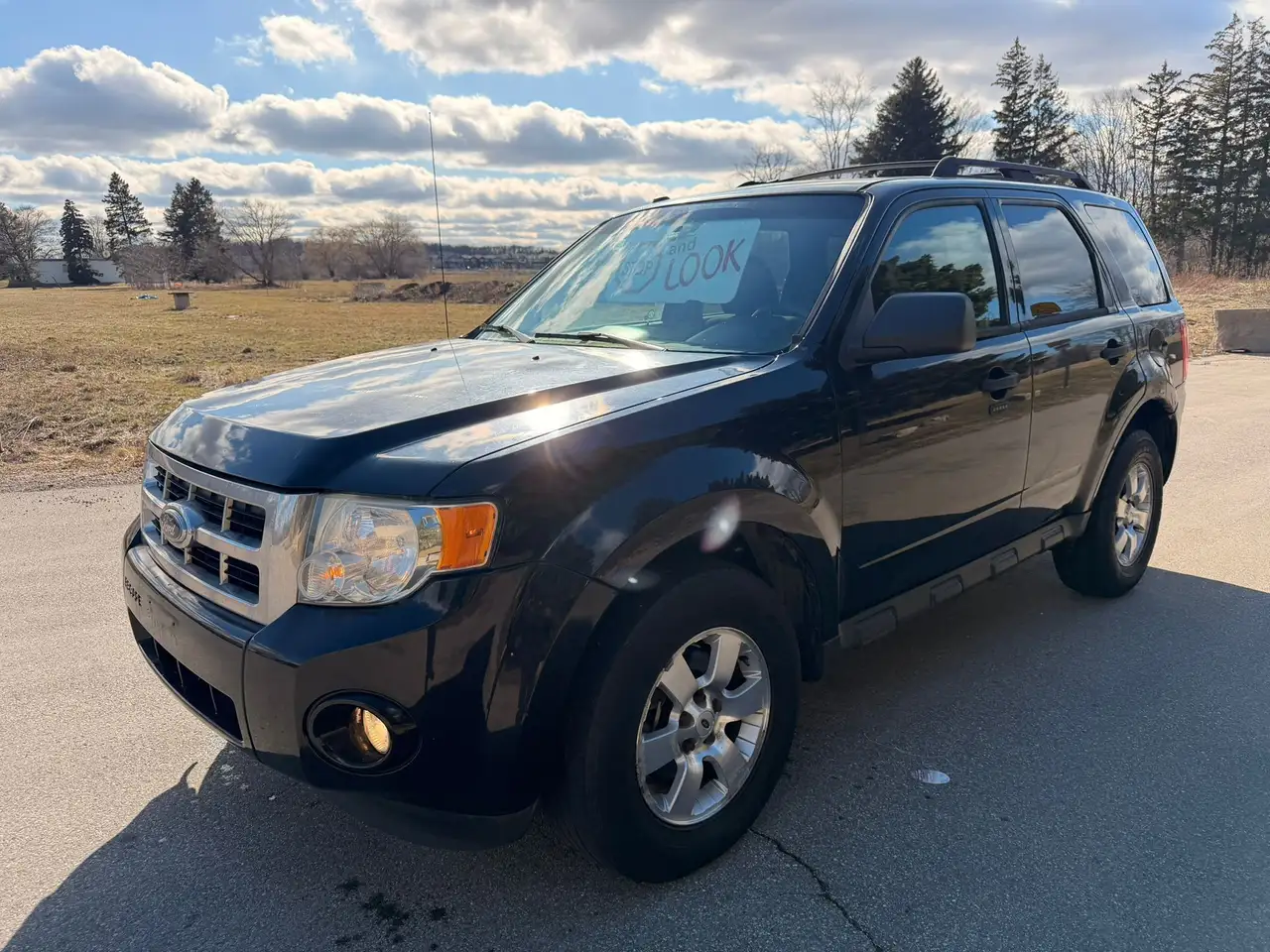 2010 Ford Escape
