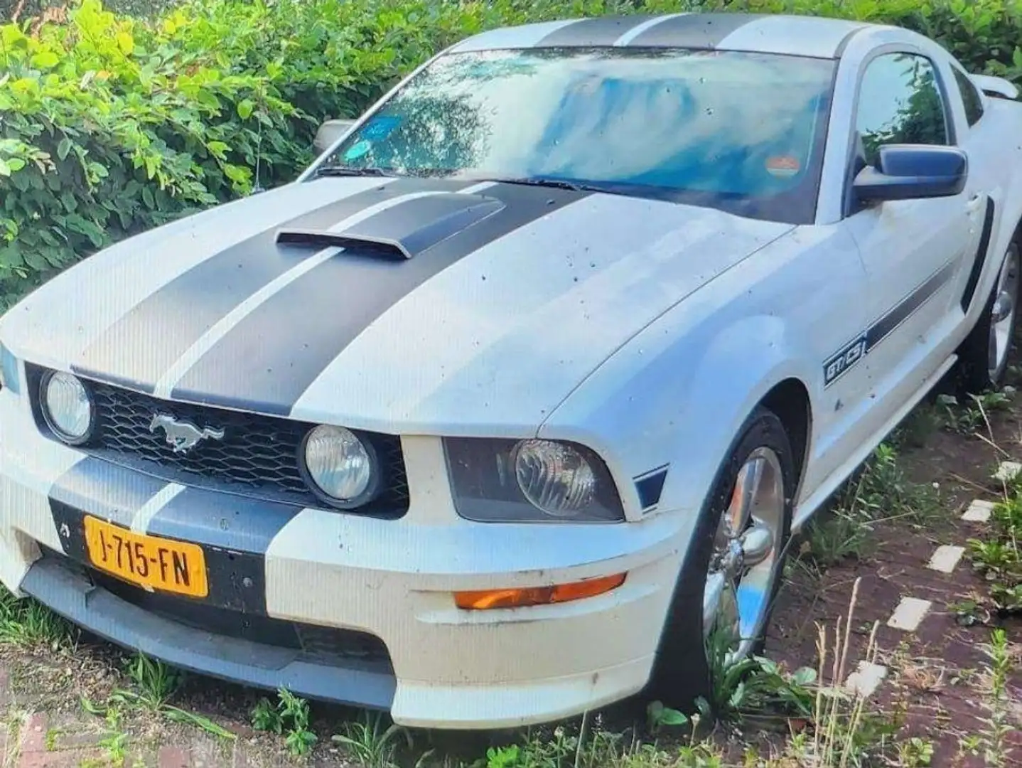Ford Mustang V8 330HP GT CS california Special 4.6 - 1