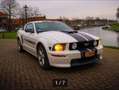 Ford Mustang V8 330HP GT CS california Special 4.6 - thumbnail 6