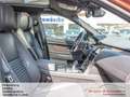 Land Rover Discovery Sport P250 R-Dynamic*Panorama*360-Kam* Orange - thumbnail 11