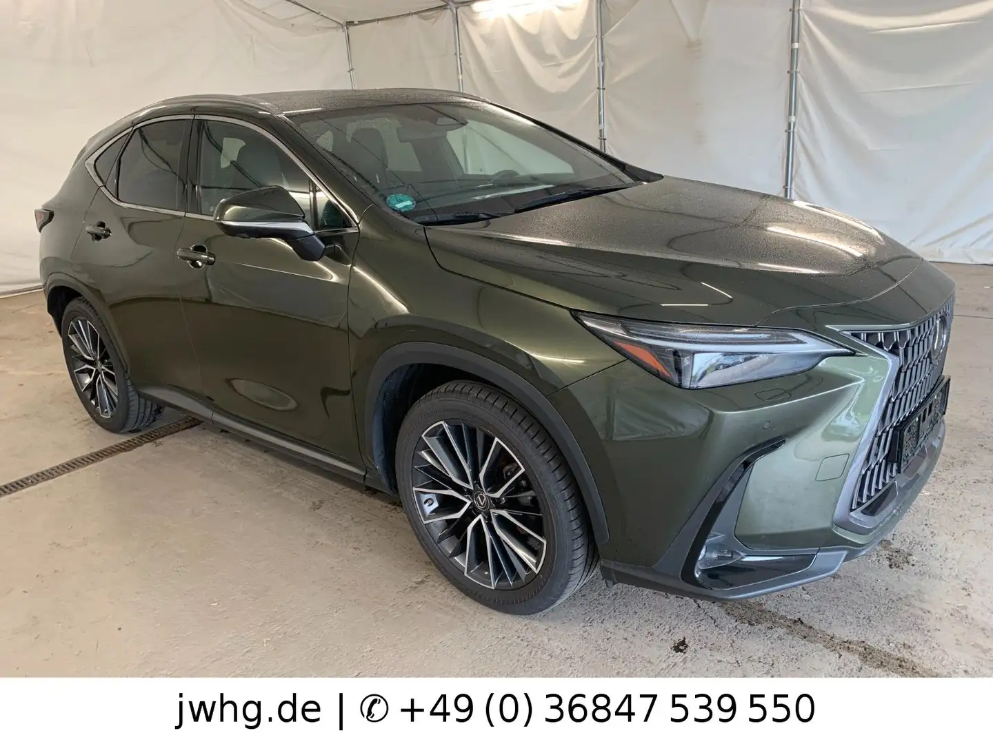 Lexus NX 350h E-Four Luxury ACC+S Matrix 20" Memory Vert - 2