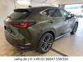 Lexus NX 350h E-Four Luxury ACC+S Matrix 20" Memory Vert - thumbnail 6