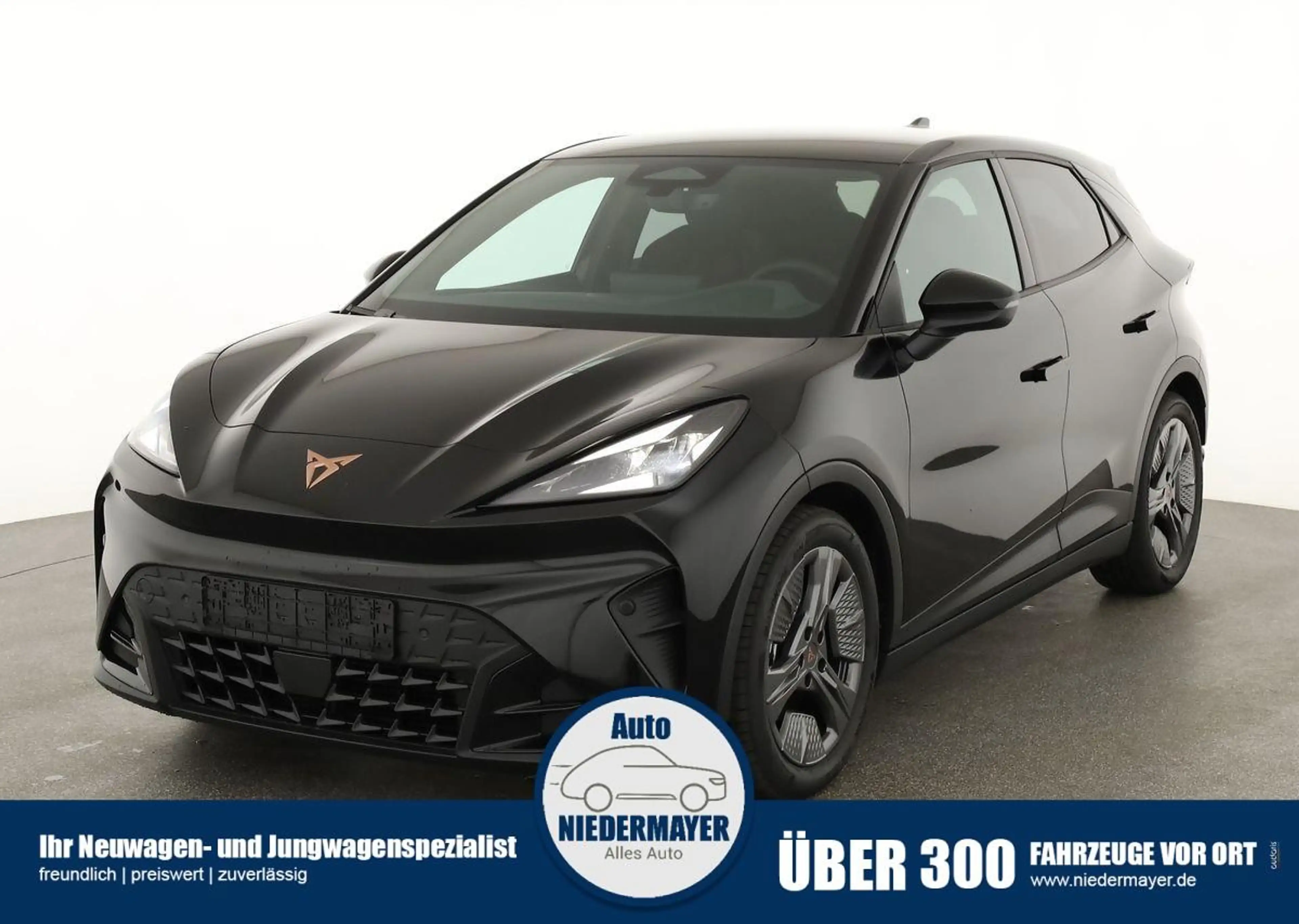 CUPRA Raval Endurance 52 kWh, Edge, Kamera, 5 J.-Garantie, SOF
