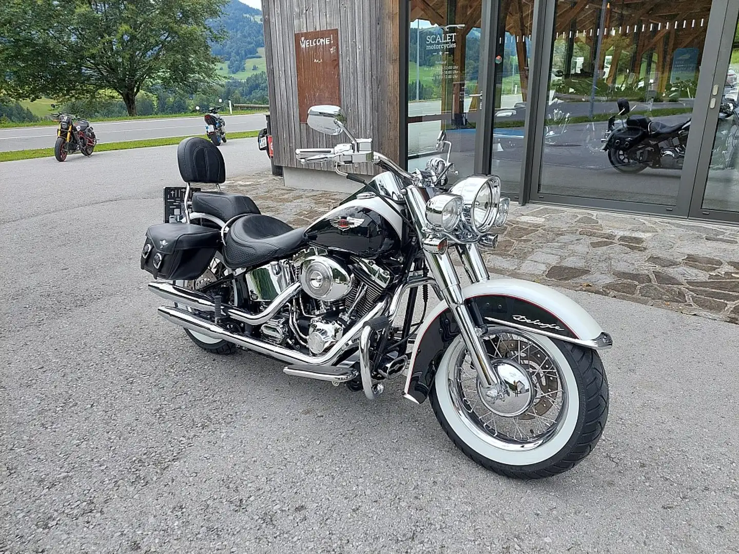 Harley-Davidson Deluxe Deluxe Softail FLSTNI - 2