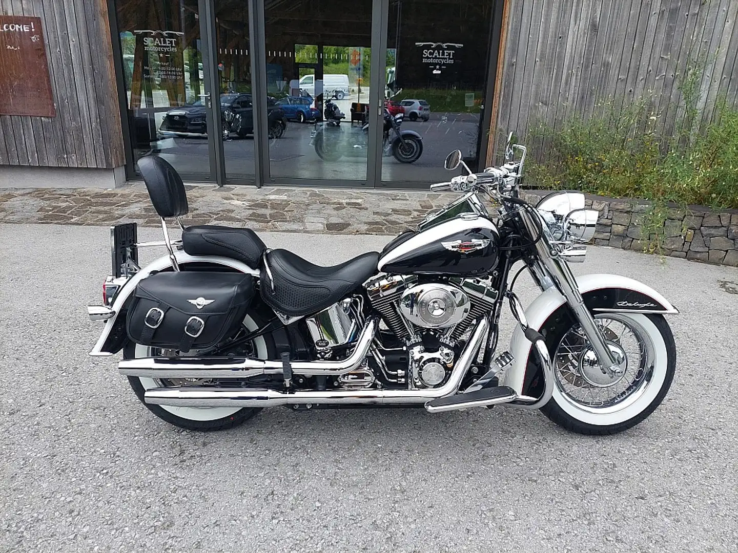 Harley-Davidson Deluxe Deluxe Softail FLSTNI - 1