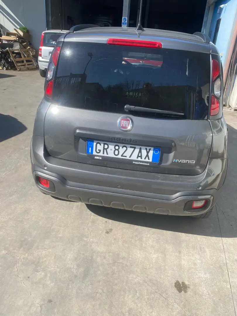 Fiat Panda 1.0 firefly hybrid Cross s&s 70cv 5p.ti GPL Grigio - 2