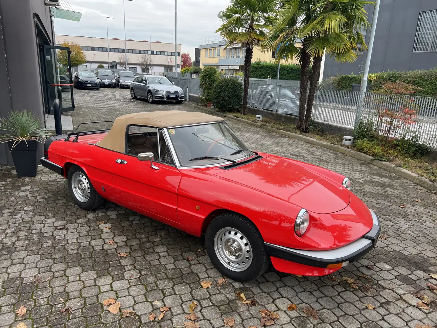 Alfa Romeo Spider 1.6 "DUETTO AERODINAMICA I" Красный - 2