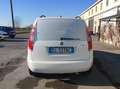 Skoda Praktik 1.6 TDI 90 CV - PIU' IVA Weiß - thumbnail 5