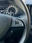 Skoda Scala 1.0 TSI 95PS Ambition/1.HAND/PDC Gris - thumbnail 16