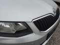 Skoda Octavia 1,6 TDI Argent - thumbnail 16