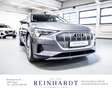 Audi e-tron 55 ADVANCED/21Z/MTRX/ACC/HuD/NACHT/PANO Grau - thumbnail 5