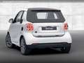 smart forTwo EQ 60kWed pulse BRABUS tailor made SHZ Weiß - thumbnail 20