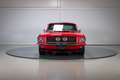 Ford Mustang Fastback 501 Pro-Touring Rot - thumbnail 10
