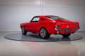 Ford Mustang Fastback 501 Pro-Touring Rot - thumbnail 5