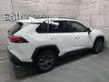 Toyota RAV 4 RAV4 2,5 Hybrid 4x4 Active Drive + Winterpaket Weiß - thumbnail 5