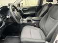 Toyota RAV 4 RAV4 2,5 Hybrid 4x4 Active Drive + Winterpaket Weiß - thumbnail 16