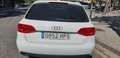 Audi A4 A4 Avant 2.0TDI DPF 170 Blanco - thumbnail 6